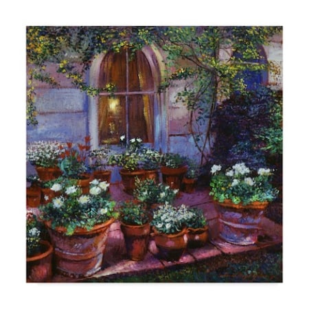 David Lloyd Glover 'Evening Patio Garden' Canvas Art,14x14